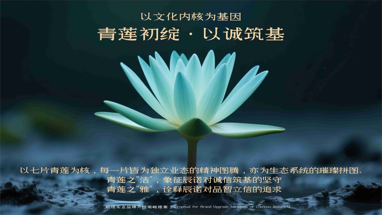 1766405719769090.jpg 1.jpg